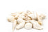 white mixed seashells 1 kg